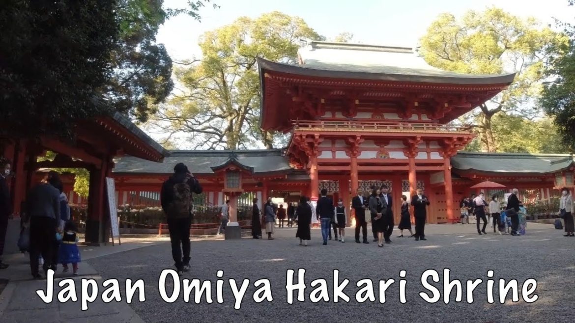 Japan Omiya Hikari Shrine & Park Garden 2020.10.31 Halloween Cycling Tour Kimono Festival