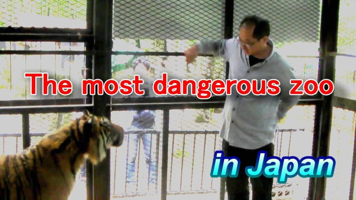 The most dangerous zoo in Japan