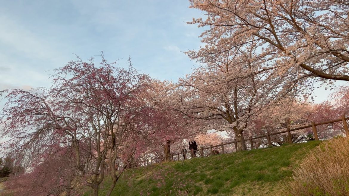 【4K HDR】Day Walk in NARITA JAPAN Walking Tour 【4K HDR】Day Walk in NARITA JAPAN Walking Tour
