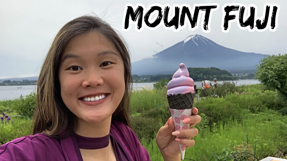 Lavender Festival at Mount Fuji: Japan Vlog