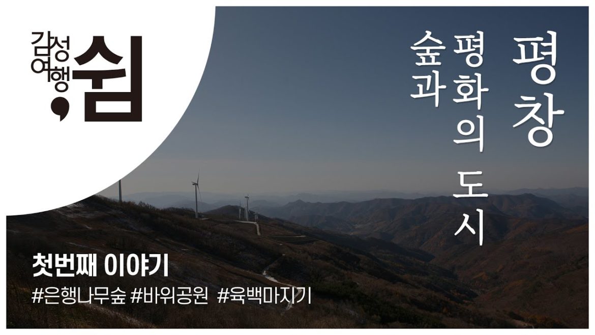 South Korea, Pyeong Chang Travel Guide | 평창, 은행나무숲 / 육백마지기 / 강원도 캠핑 [감성여행 EP.01]