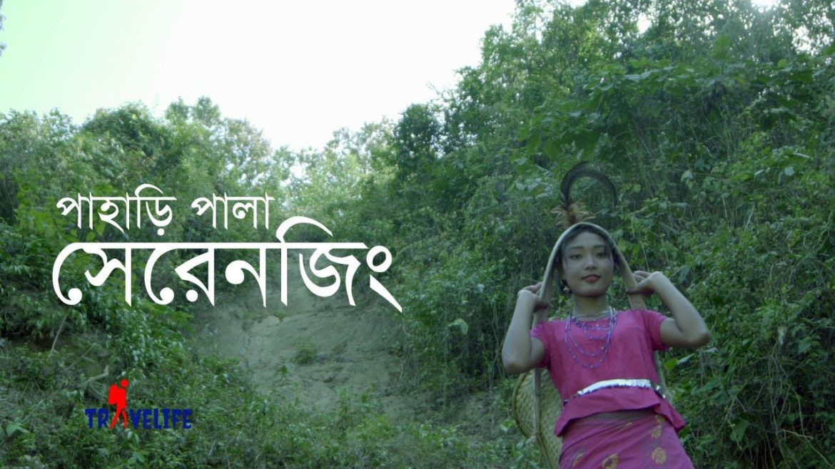 পাহাড়ি পালা সেরেনজিং | পাহাড়ি গল্প | গারোদের গান | Garo Folk story Serenjing | Garo girl Serejing পাহাড়ি পালা সেরেনজিং | পাহাড়ি গল্প | গারোদের গান | Garo Folk story Serenjing | Garo girl Serejing