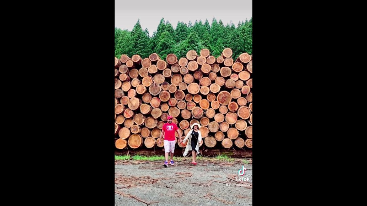 Akita, Japan 🇯🇵 #Summervacation #obonyasumi #shorts