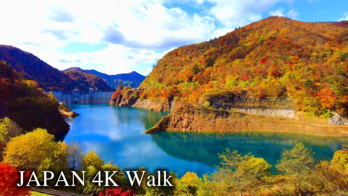 【4K】Japan Walking Tour- Autumn Leaves Hiking at Lake Okushima 【4K】Japan Walking Tour- Autumn Leaves Hiking at Lake Okushima