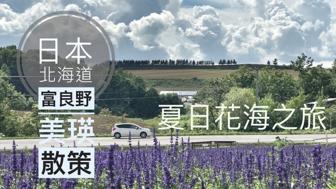 【日本北海道】#09 富良野 美瑛｜富良野起司工房、中富良野町營薰衣草園、富田農場、全景之路、拼布之路、成吉思汗烤肉｜北海道夏日散策