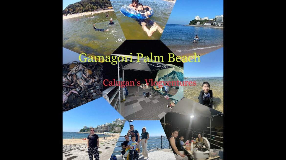 BEACH CAMPING ||📍GAMAGORI, JAPAN