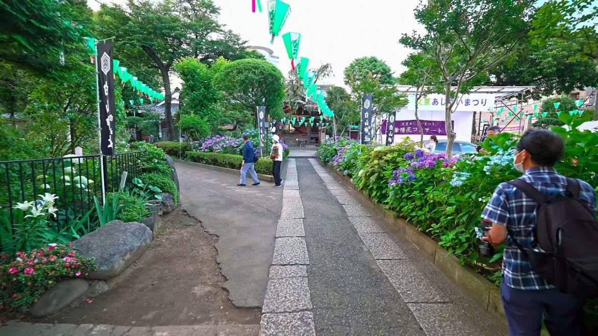 Tokyo from sunset to night - Hon-Komagome to Myogadani station・4K HDR