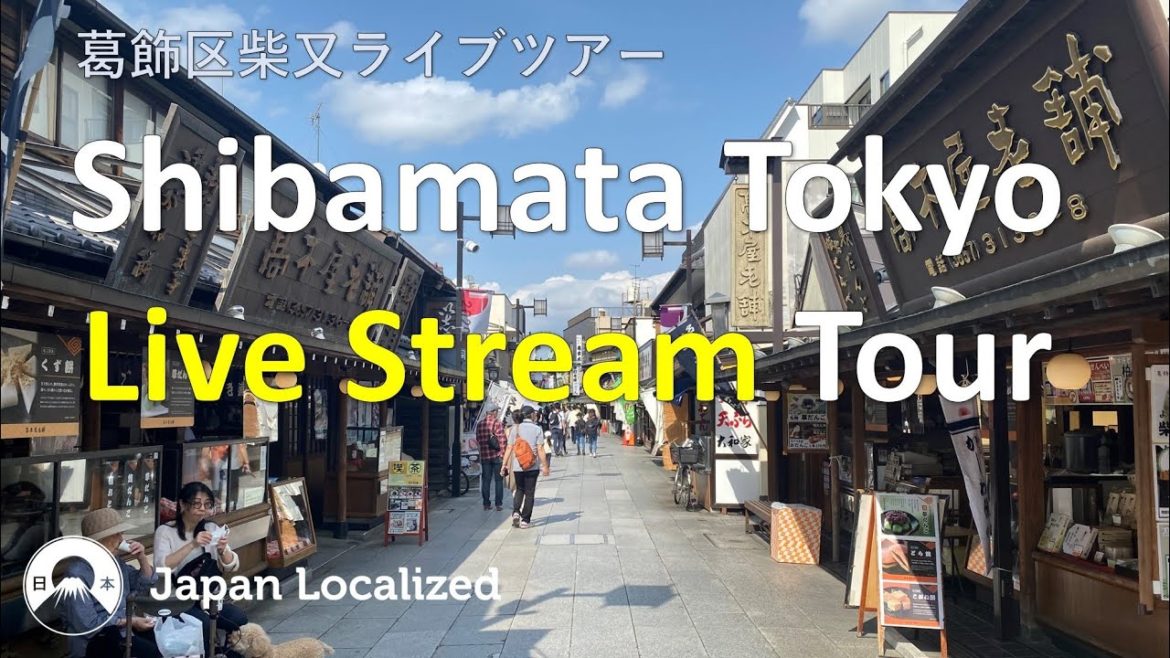 Katsushika Shibamata Tokyo Live Stream Tour - How Tokyo Look Like Now? 葛飾区柴又帝釈天