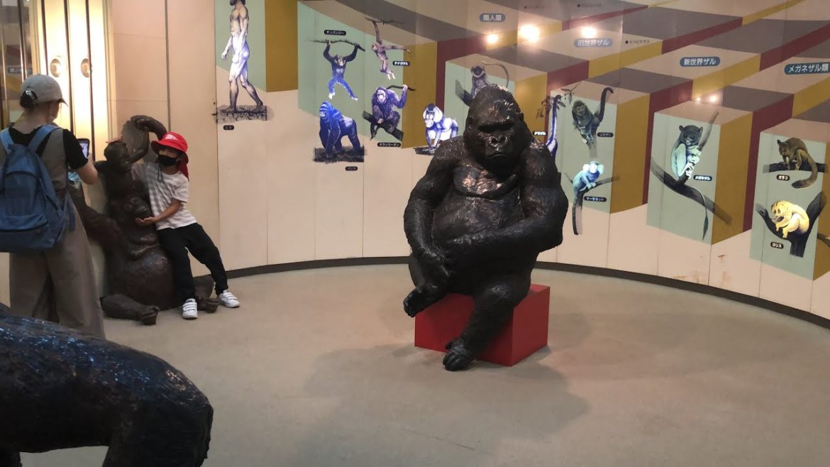 Chiba Zoological Park Visit with 2 Family 千葉動物園🦁