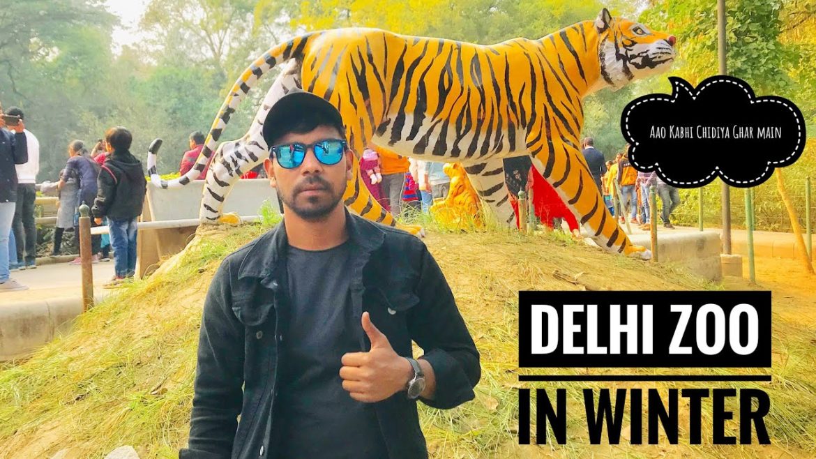 Delhi Zoo in Winter | National Zoological Park | All Animal in Zoo | Rahul Rajput
