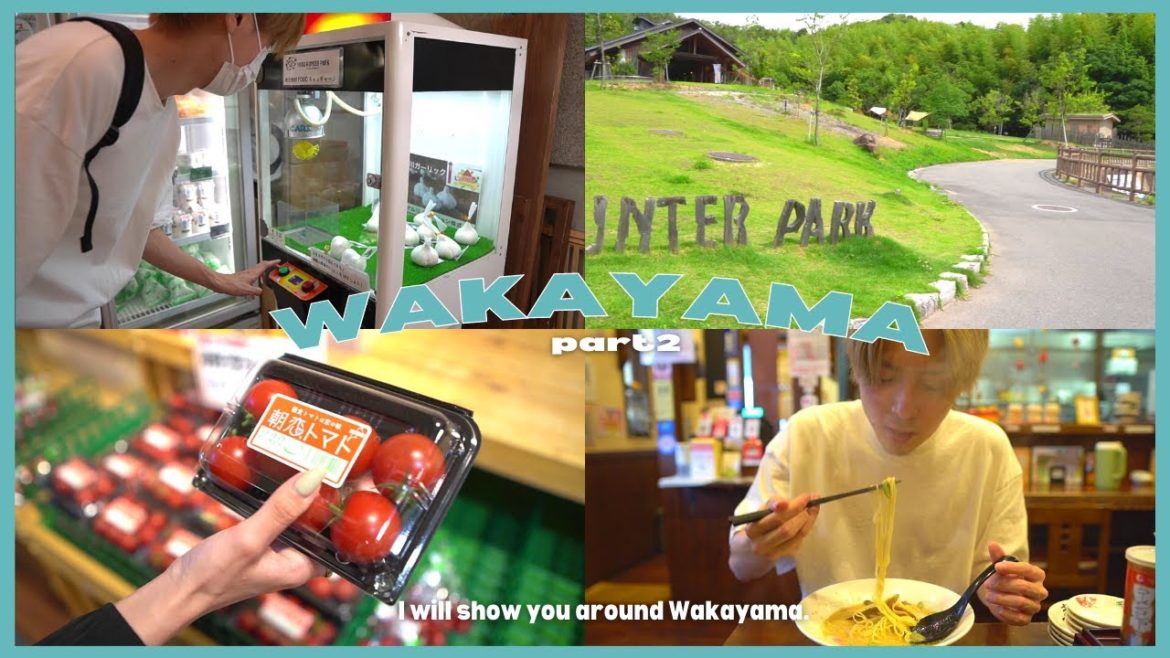 【日帰り旅行】和歌山は道の駅の宝庫すぎる!|四季の郷公園|柿の郷くどやま【vlog】 【日帰り旅行】和歌山は道の駅の宝庫すぎる!|四季の郷公園|柿の郷くどやま【vlog】