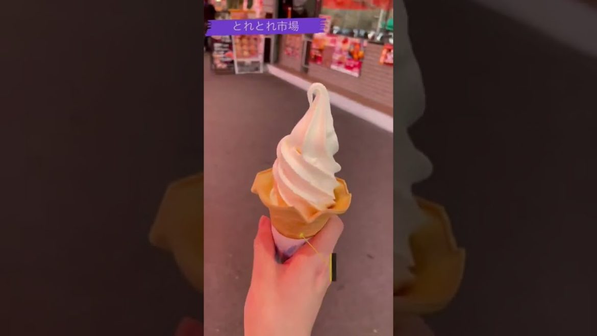 【和歌山旅行】モデルコース紹介 とれとれ市場→フェアフィールドバイマリオット(ホテル)→温泉→おすすめランチ 【和歌山旅行】モデルコース紹介 とれとれ市場→フェアフィールドバイマリオット(ホテル)→温泉→おすすめランチ