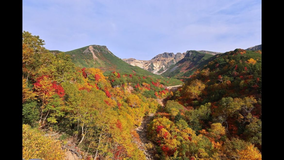 8K HDR 北海道  大雪山 十勝岳と望岳台の紅葉 Hokkaido, Tokachidake onsen and Bogakudai in Autumn