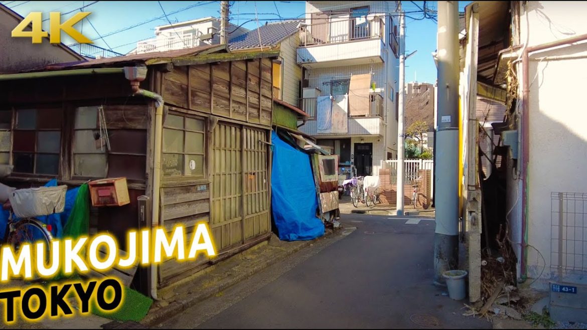 Tokyo walk: Mukojima evening stroll [4K]