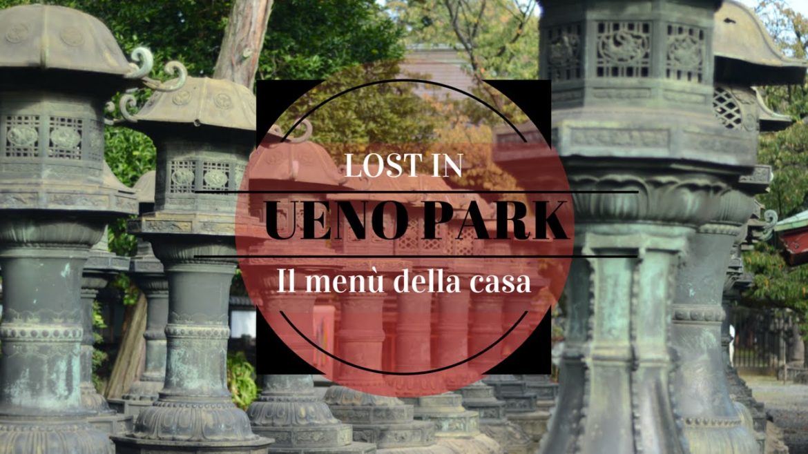 Japan Trip [Ep.5 part.2] Lost in UenoPark, Menù, Bonsai e Rockabilly