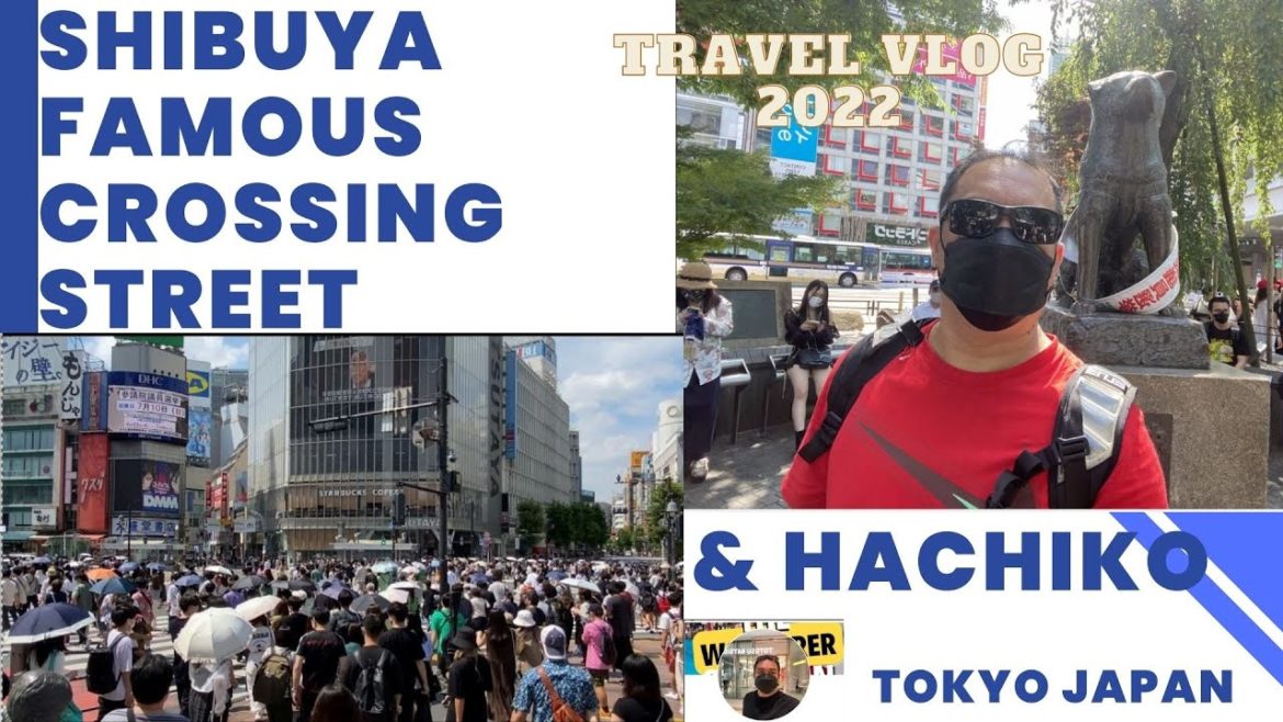 SHIBUYA TOKYO JAPAN/ The wonderer of Japan #TOKYO'S NO.1 TOURIST SPOTS # JAPAN TOUR 2022