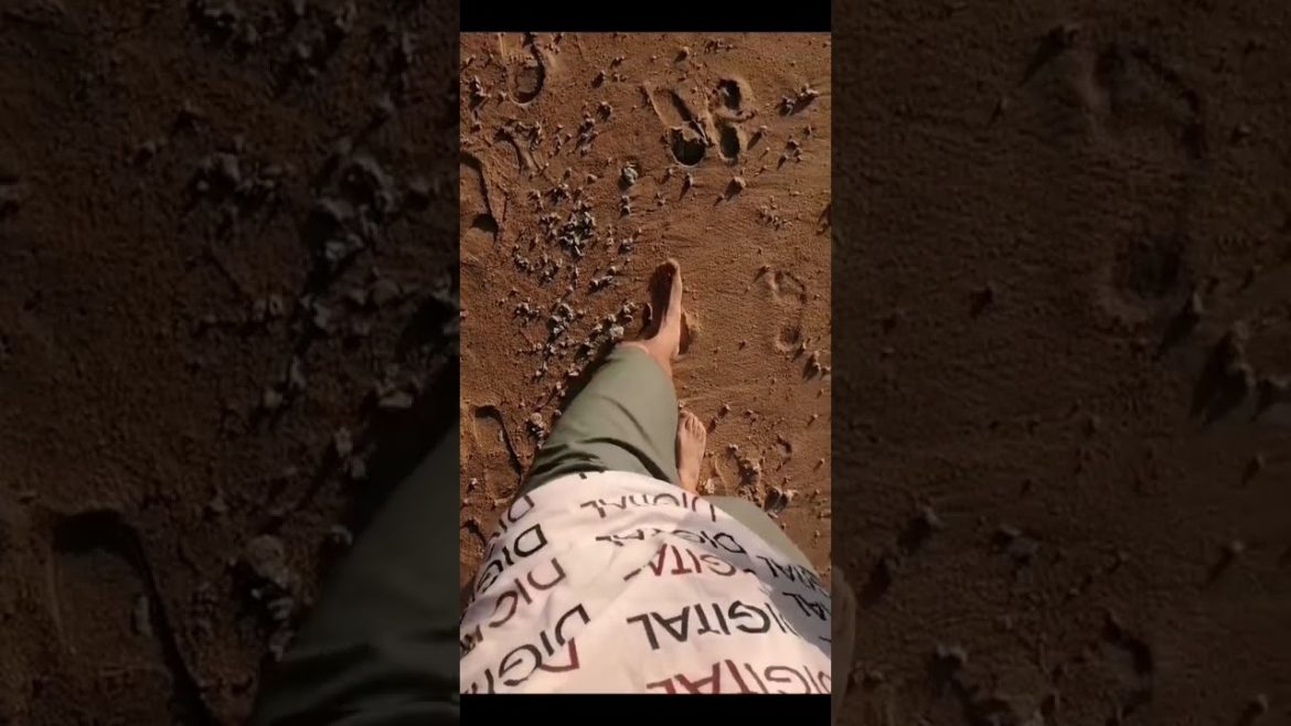 Okinawa beach #shorts