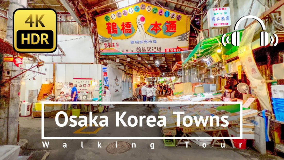 [4K/HDR/Binaural] Osaka Tsuruhashi Korea Towns Walking Tour - Osaka Japan