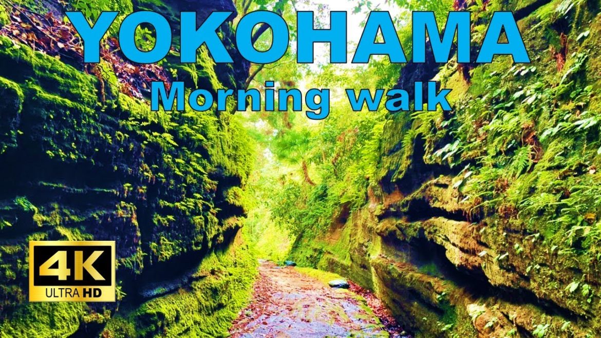 【4K】Yokohama Walking Tour - Asaina Kiridoshi (Ancient Road to Kamakura)