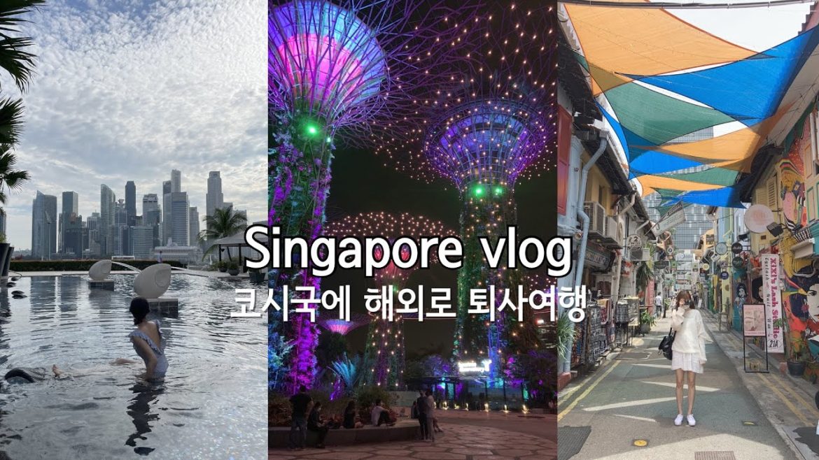 싱가포르 VTL로 다녀왔습니다. 해외여행은 갈 수 있을 때 가야합니다. 싱가포르 맛집 & 호텔 & 미술관 좋은 곳 너무 많음! 싱가포르 VTL로 다녀왔습니다. 해외여행은 갈 수 있을 때 가야합니다. 싱가포르 맛집 & 호텔 & 미술관 좋은 곳 너무 많음!