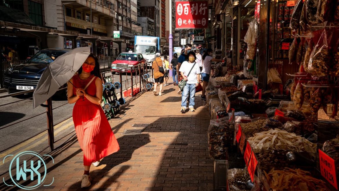 Sai Ying Pun Dry Seafood Market, Hong Kong [Walker HK]