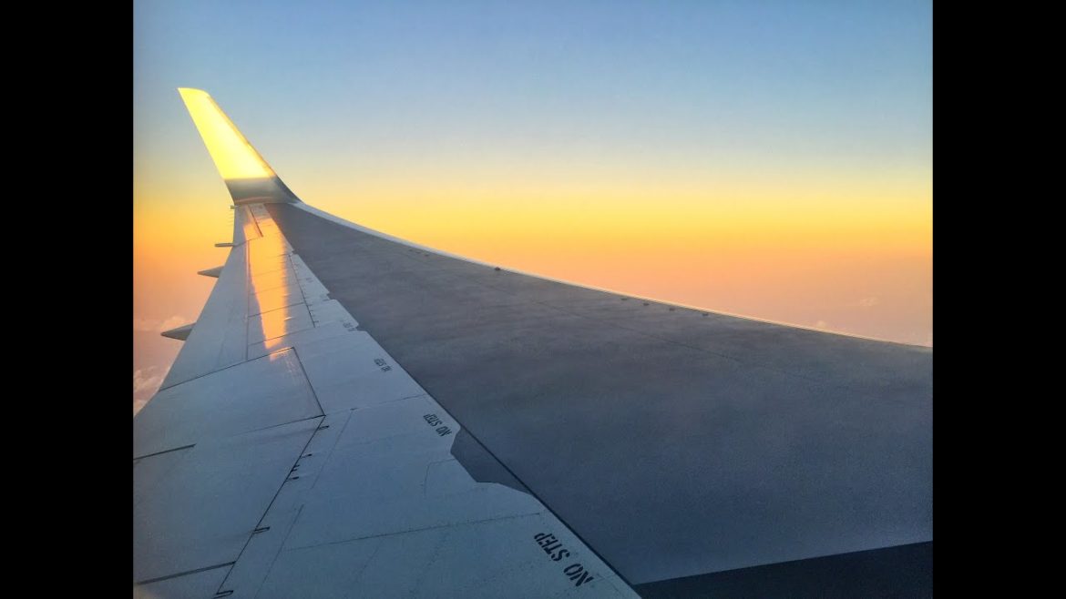 Japan, Tokyo Travel Diary Episode 1[Shinjuku | Harajuku | Meiji Shrine | Ginza]