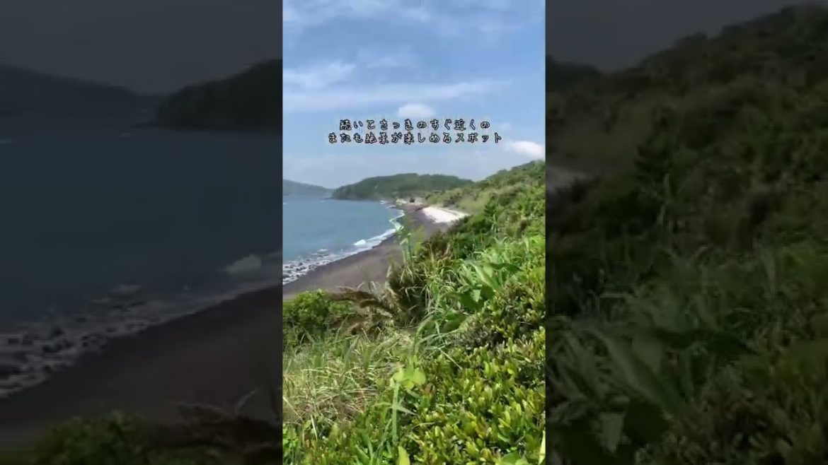 【鹿児島・指宿観光】指宿1日満喫プラン‼︎ #shorts