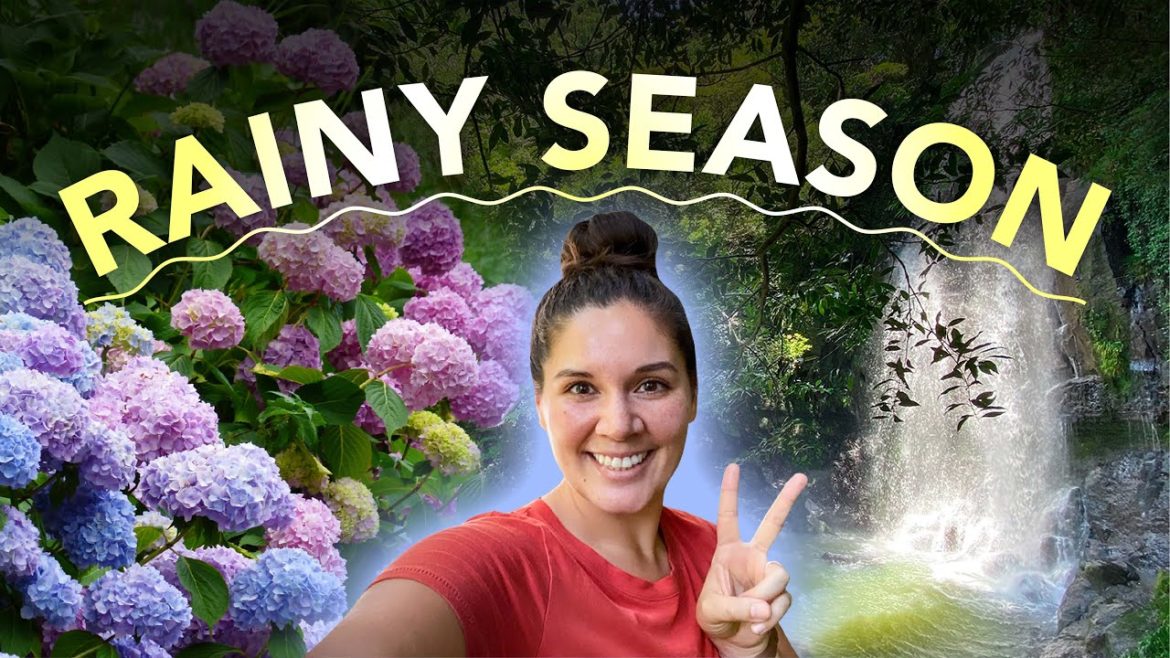 Japan Rainy Season Activities! Sasebo, Japan Japan Rainy Season Activities! Sasebo, Japan