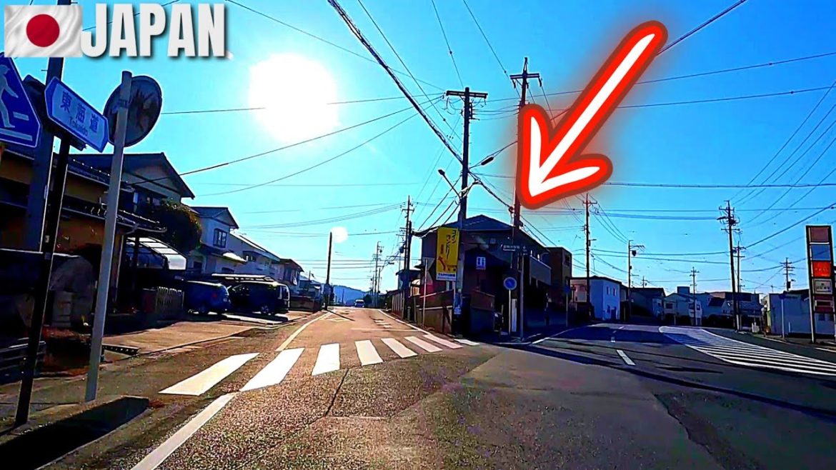 TOYOHASHI Nonhoi Park- Driving tour Aichi, JAPAN, 愛知県, 豊橋市, のんほいパーク