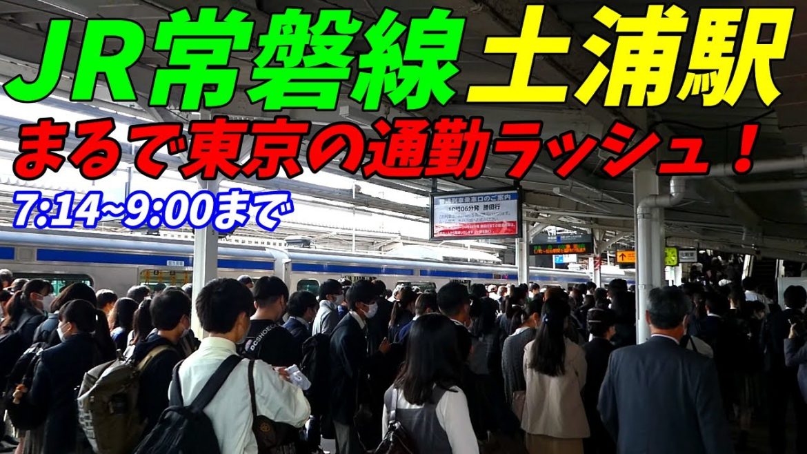 【通勤ラッシュ】JR常磐線土浦駅の朝ラッシュ!学生の利用者が多く大混雑する駅!【茨城県土浦市】2022年 【通勤ラッシュ】JR常磐線土浦駅の朝ラッシュ!学生の利用者が多く大混雑する駅!【茨城県土浦市】2022年