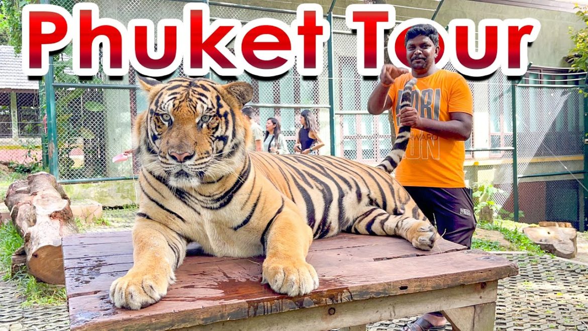 என்னது💥😍 EMI ல தாய்லாந்து Tour போலாமா.??? I Tiger Kingdom I Phuket City Tour I Village Data Base