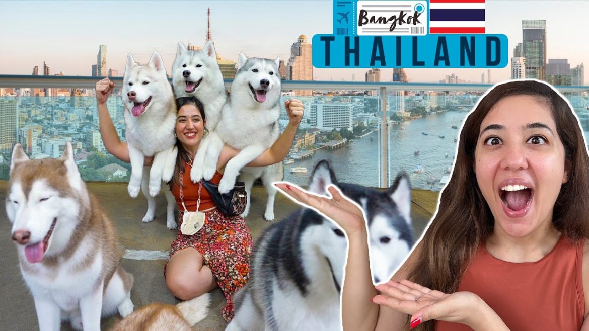 Visited the famous Husky Cafe in Bangkok | Solo Indian Girl in Thailand!  Tanya Khanijow | EP01
