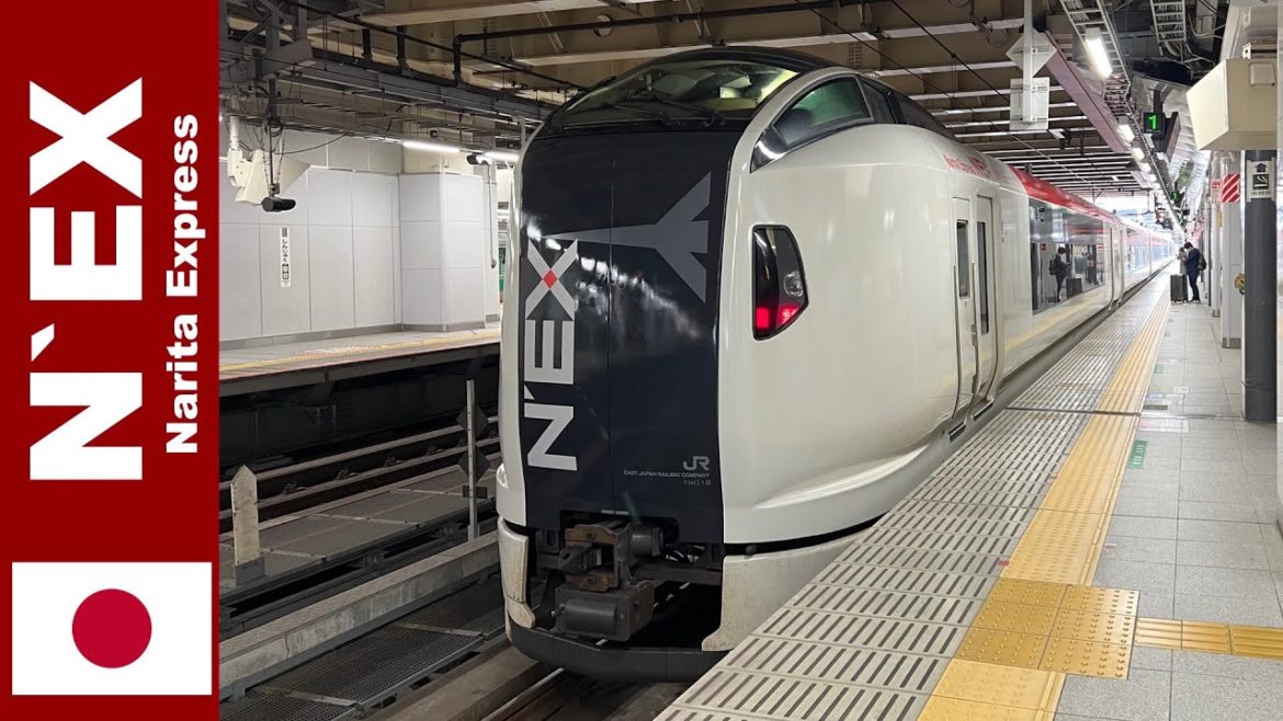 Narita Express (N'EX) to Naritasan temple (not to airport)? Narita Express (N'EX) to Naritasan temple (not to airport)?