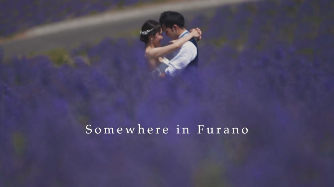 Somewhere in Furano【札幌：前撮りロケーション映像】ラヴィファクトリー