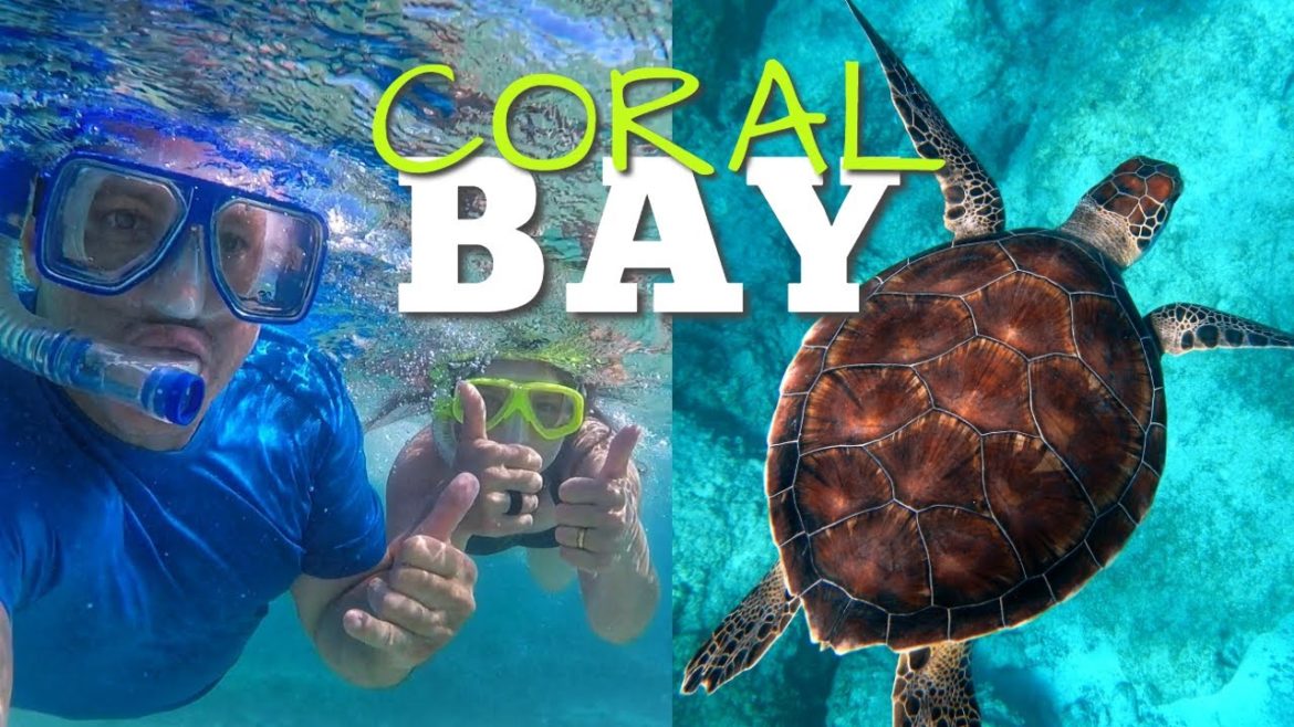 The BEST BEACH FRONT Camping Spots EVER along the NINGALOO REEF (4K) 100+ Subtitles