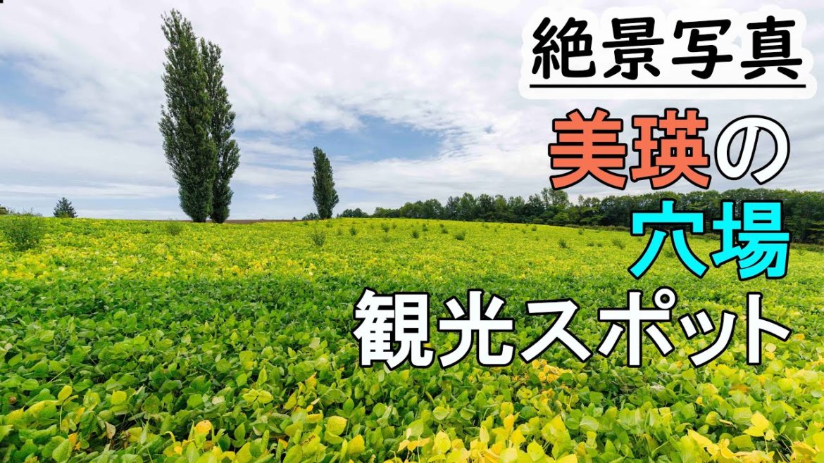 【北海道特別編2019 #9】美瑛の美しい丘を観光ドライブ,おすすめ写真撮影スポット、三愛の丘、千代田の丘、赤羽の丘,vlog japan,furano, biei 【北海道特別編2019 #9】美瑛の美しい丘を観光ドライブ,おすすめ写真撮影スポット、三愛の丘、千代田の丘、赤羽の丘,vlog japan,furano, biei