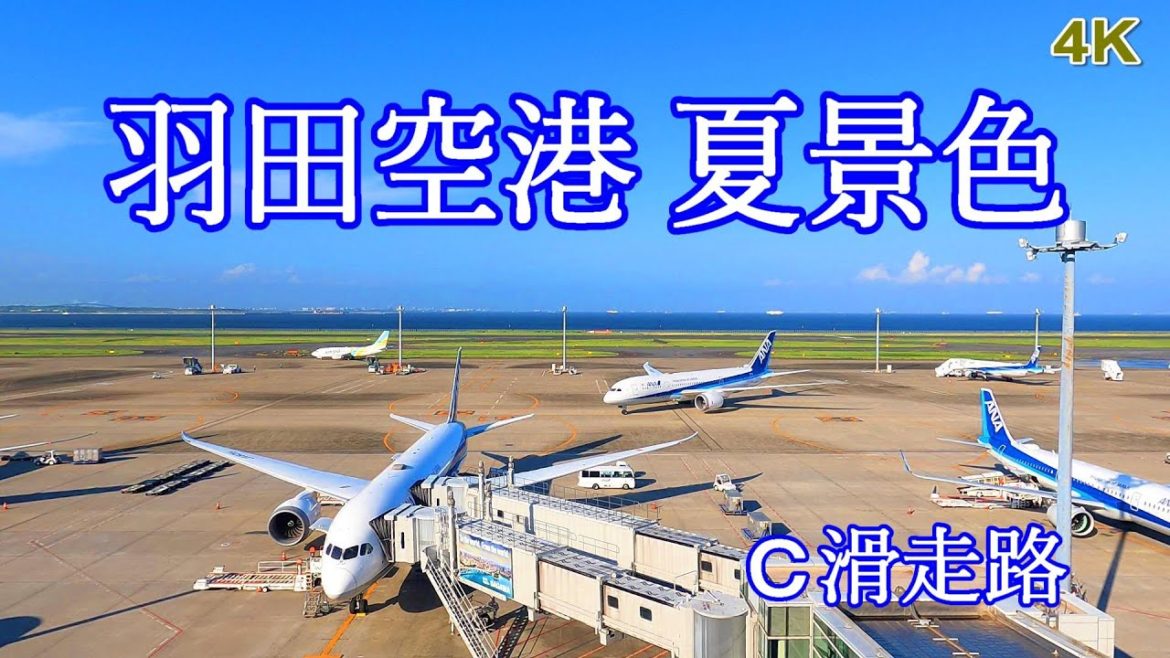 【4Kライブカメラ】のんびり夏景色(羽田空港Ⅽ滑走路) 【4Kライブカメラ】のんびり夏景色(羽田空港Ⅽ滑走路)