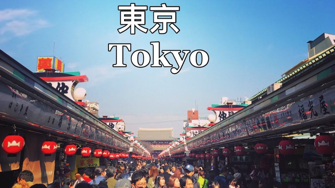Tokyo Video ✈ Japan Trip 2016 February |Gopro Hero 4 (日本、東京の旅) Tokyo Video ✈ Japan Trip 2016 February |Gopro Hero 4 (日本、東京の旅)