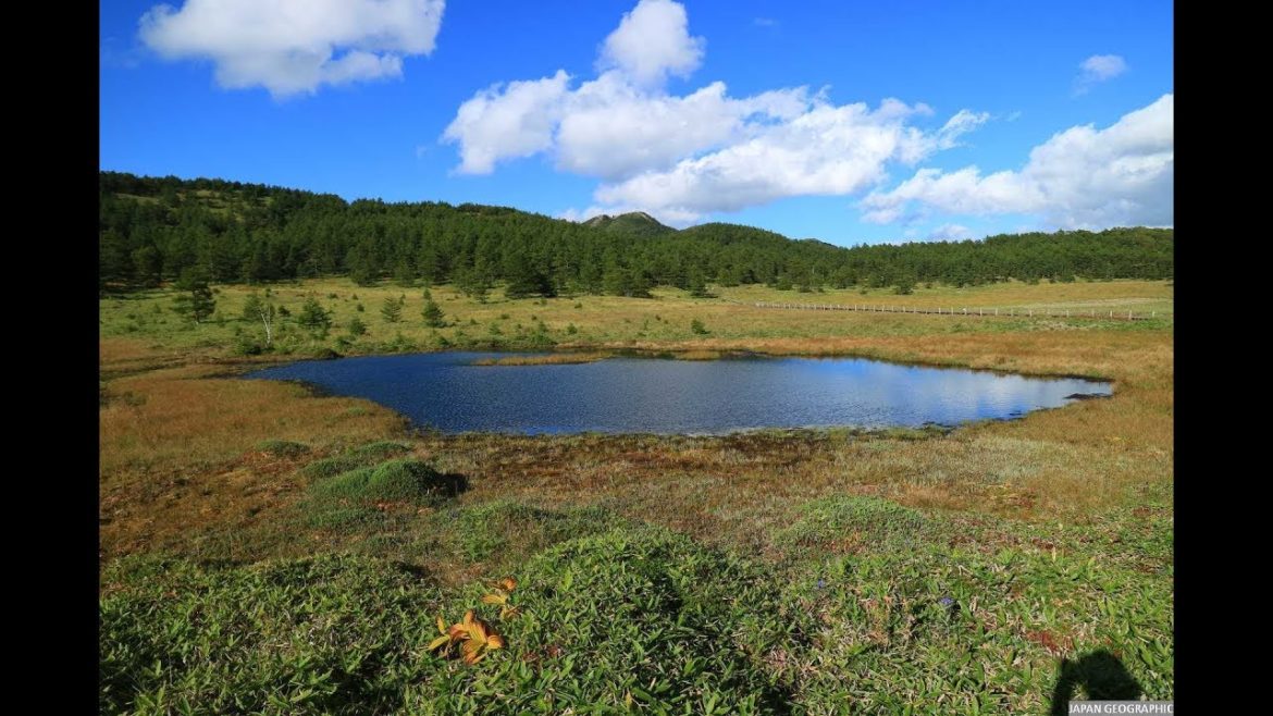 JG 4K 長野/群馬 池の平湿原と湯の丸(天然記念物) Nagano/Gunma Ikenodaira and Yunomaru(National Monument)