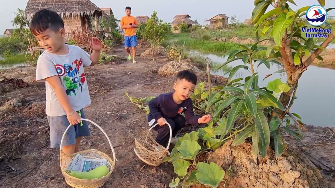 Du lịch sinh thái Đồng Tháp| Tour hạnh phúc 2022| Nghỉ dưỡng sinh thái