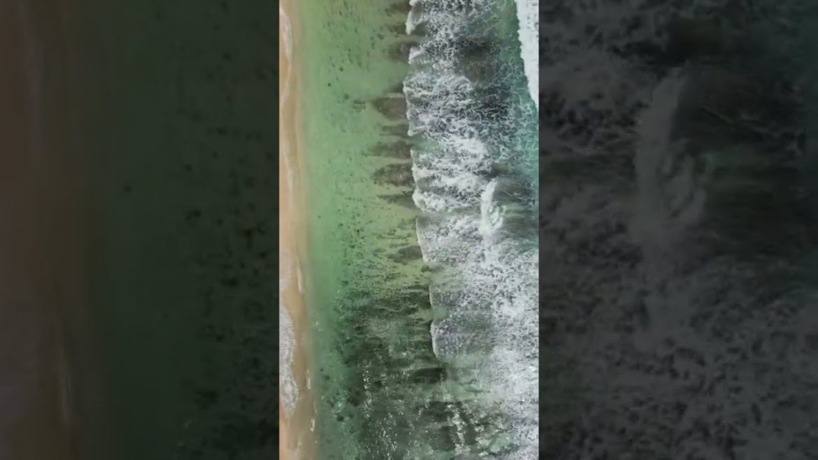 Bali, Indonesia | Tourists Attractions | 4K (60FPS) | Peace Mind Bali, Indonesia | Tourists Attractions | 4K (60FPS) | Peace Mind