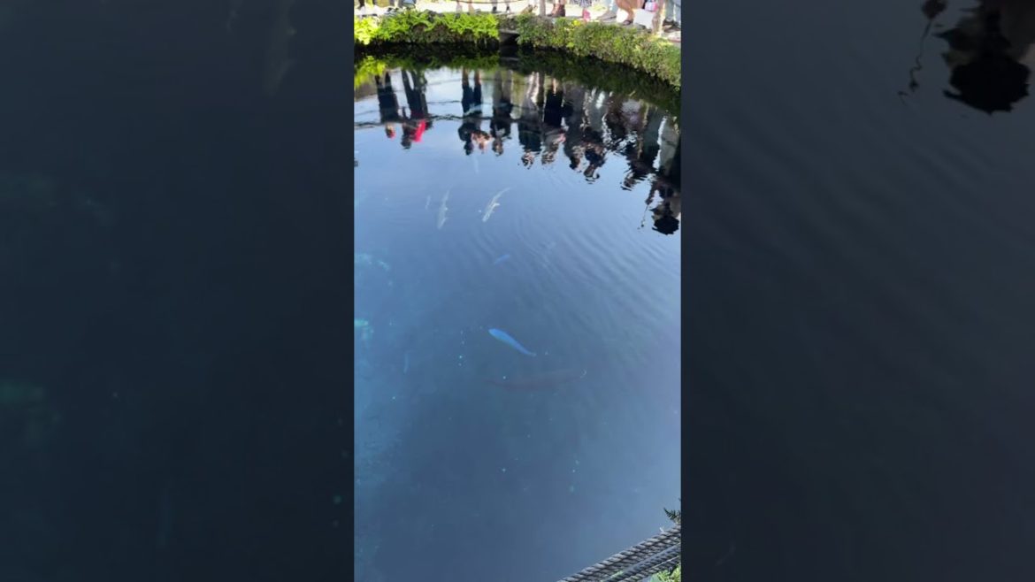 Mount Fuji nearby world heritage site Oshino Hakkai