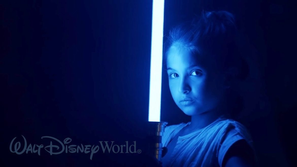 Walt Disney World Resort Annual Pass Promo Walt Disney World Resort Annual Pass Promo