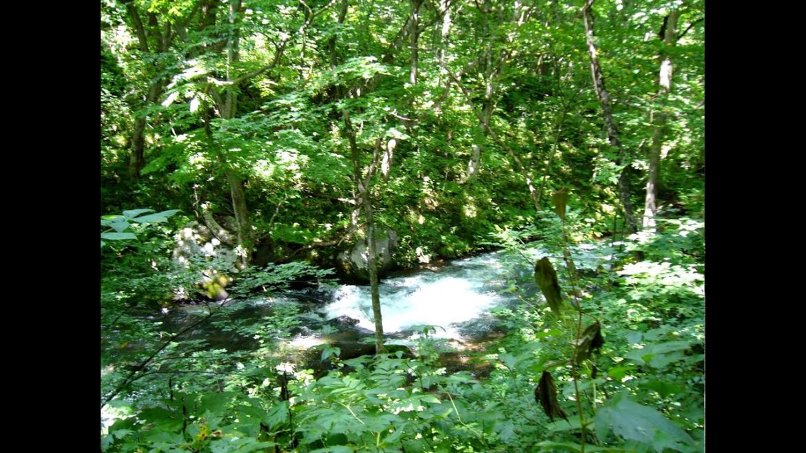 2010 summer vacation in Oirase