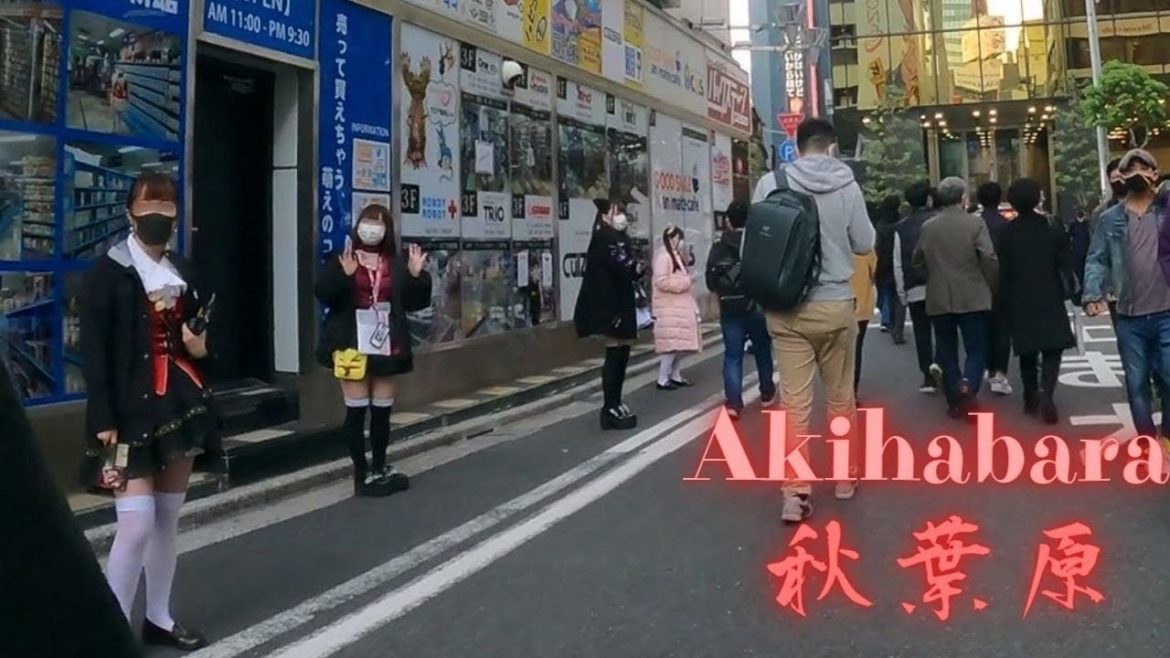 Many Kawaii girls Akihabara Tokyo walking tour.【4K】