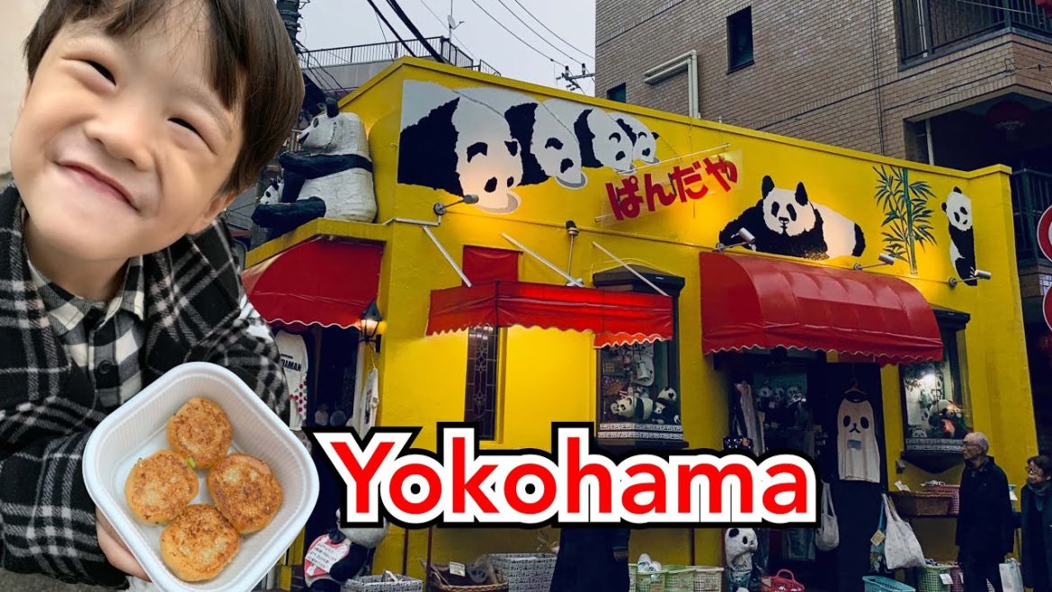 🇯🇵 Yokohama | Chinatown | Redbricks warehouse | Christmas Market | Travel Vlog [横滨] ~  EP13