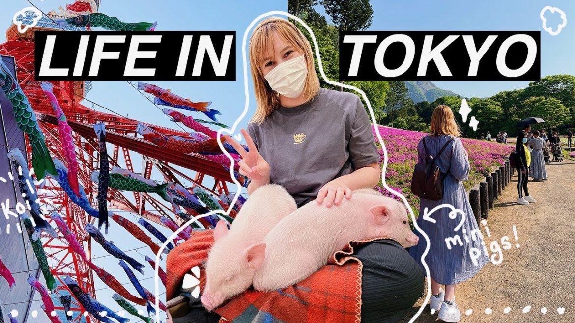 LIFE IN JAPAN | it's golden week!! mini pig cafe in tokyo ๐ฝ + rural japan + children's day ๐ LIFE IN JAPAN | it's golden week!! mini pig cafe in tokyo ๐ฝ + rural japan + children's day ๐