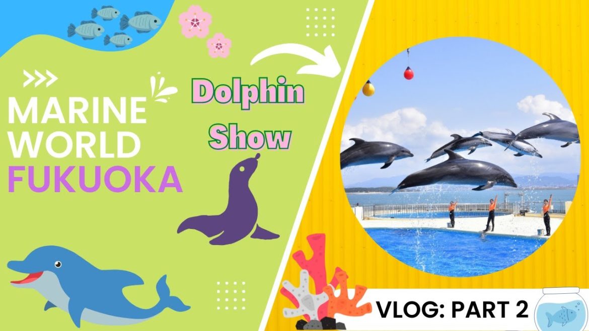 Dolphin Show at Marine World Fukuoka | Vlog: Part 2 | マリンワールド海の中道 福岡市 日本