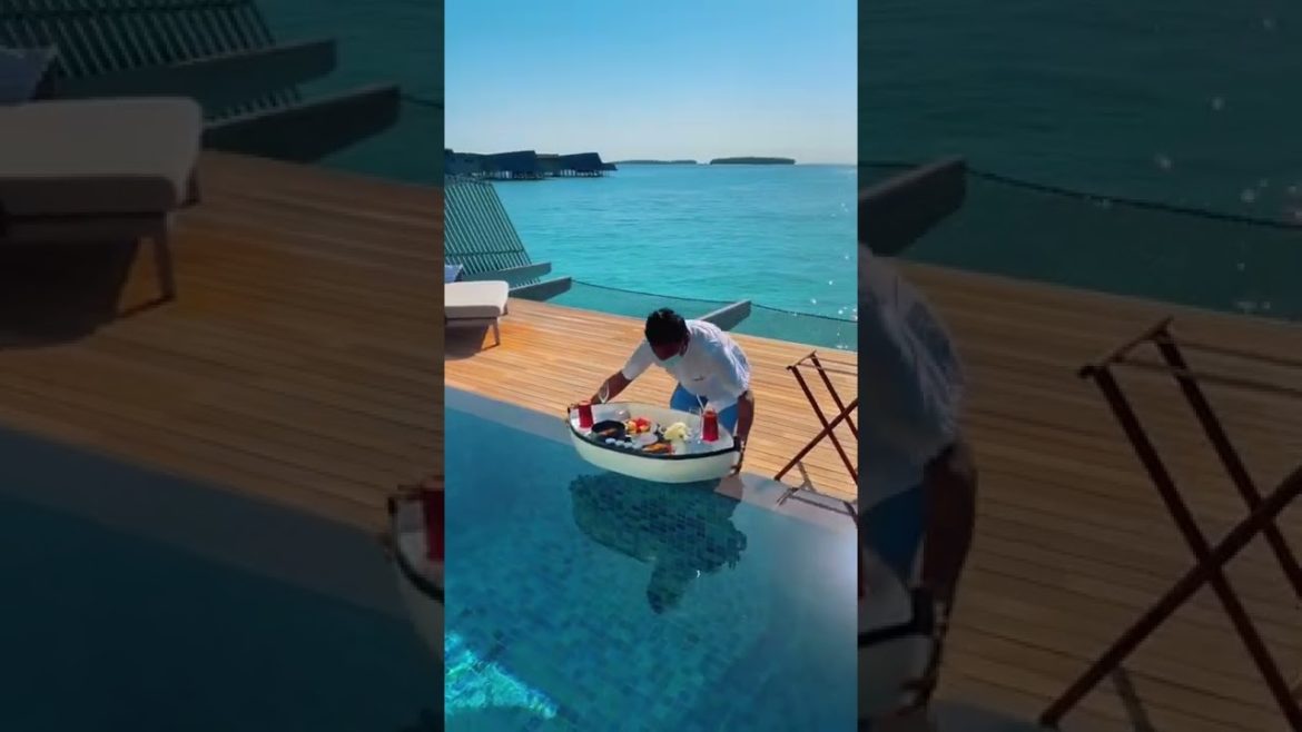 Luxury maldives vacation | Beautiful View Maldives Resort #shorts