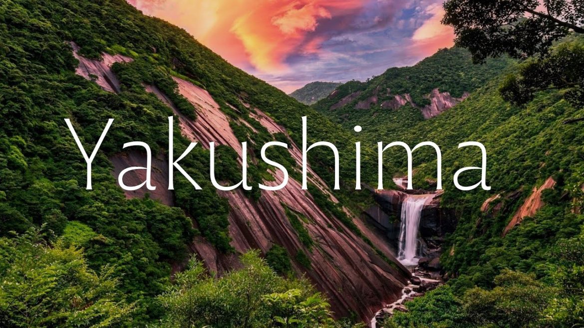 Yakushima is a Japanese island